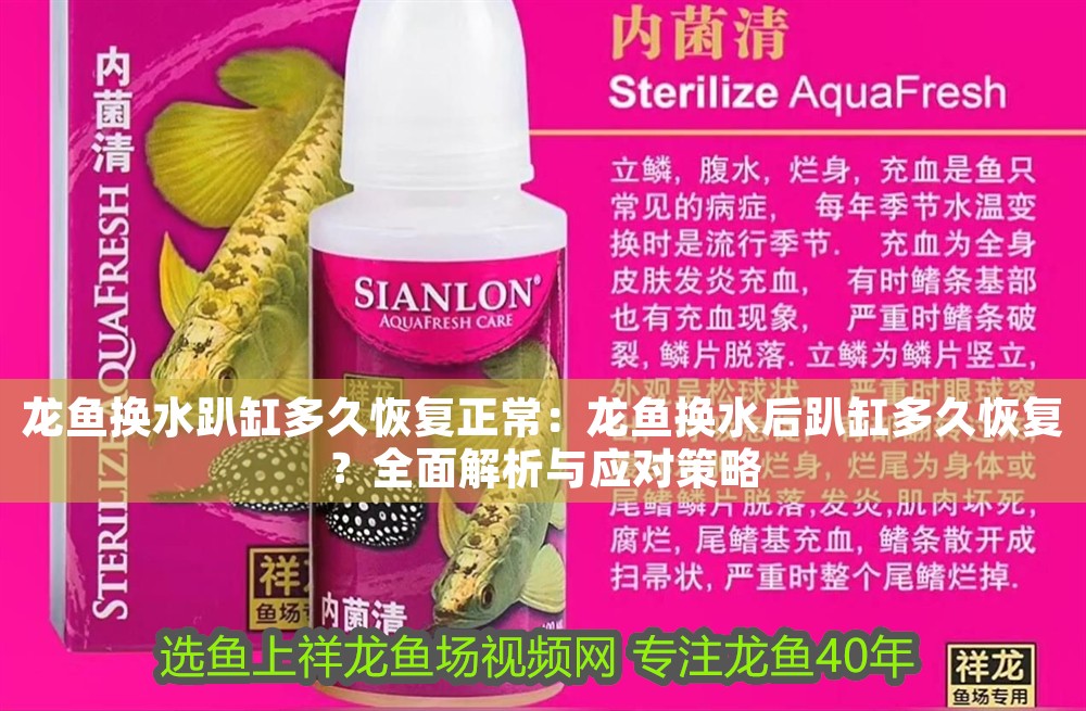 龍魚換水趴缸多久恢復(fù)正常：龍魚換水后趴缸多久恢復(fù)？全面解析與應(yīng)對(duì)策略