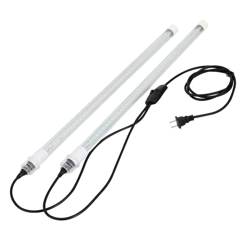 小過背金龍魚視頻：關于小過背金龍魚的視頻