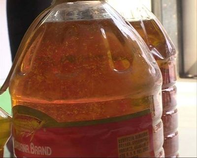 金龍魚身上出現白色絮狀物是因為它們患上了水霉病：金龍魚身上出現白色絮狀物且趴缸不動怎么辦