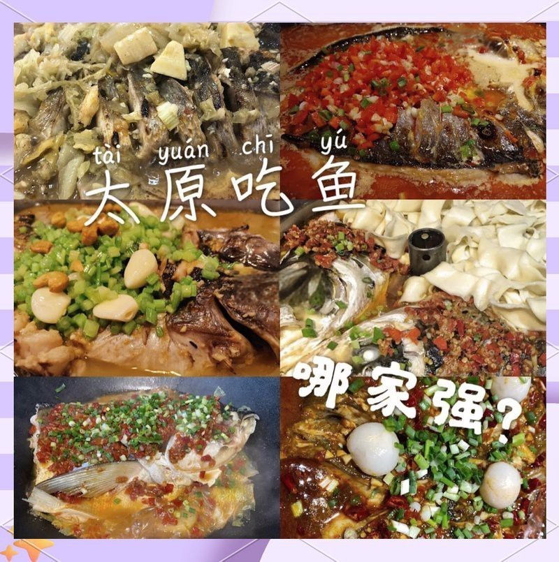 太原龍魚哪家好吃