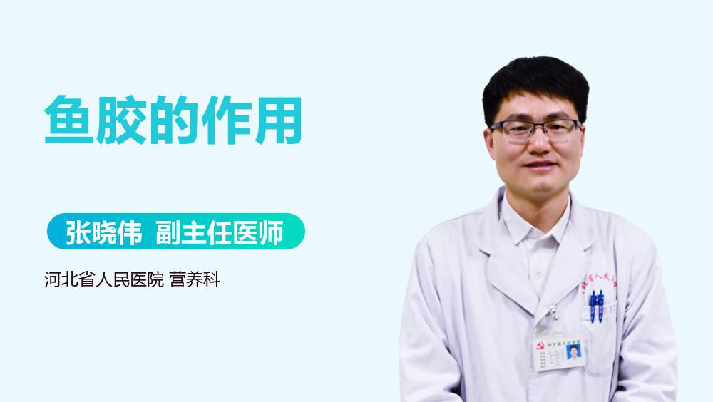 金龍魚膠適合哪些人群食用？