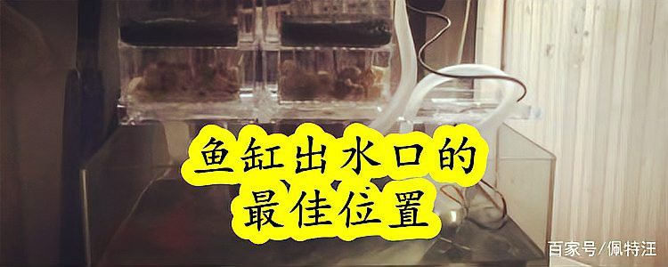 大型龍魚缸出水口位置