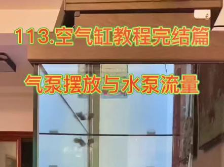 大型龍魚缸出水口位置