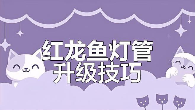 紅龍魚(yú)用什么顏色的燈好呢圖片