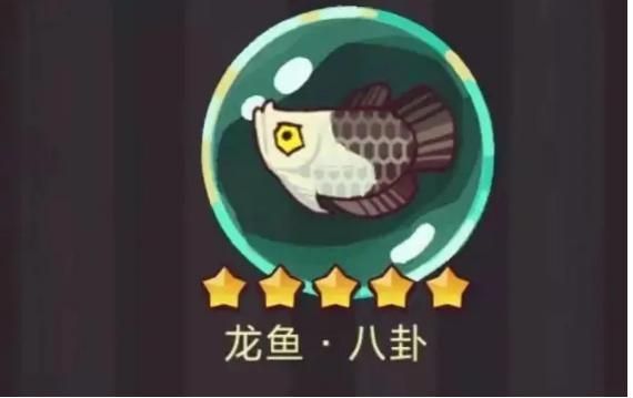 佩戴龍魚有什么好處：龍魚是一種傳統的吉祥物