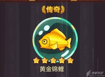 佩戴龍魚有什么好處：龍魚是一種傳統的吉祥物