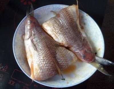 龍魚怎么煮：紅燒龍魚的家常做法