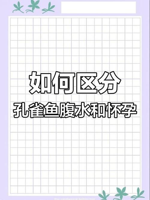 魚懷孕和腹水圖區別圖