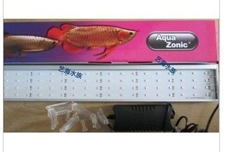 仟湖led龍魚燈安裝（led龍魚燈安裝位置對于龍魚的健康和觀賞效果至關重要）