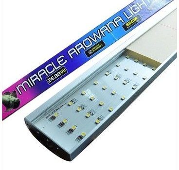 仟湖led龍魚燈安裝（led龍魚燈安裝位置對于龍魚的健康和觀賞效果至關重要）