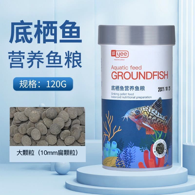 六角恐龍魚的飼料其他動物可以吃嗎，六角恐龍魚飼料專用飼料推薦六角恐龍魚飼料的制作方法