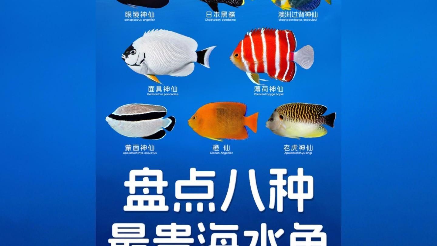 十大名貴的觀賞魚