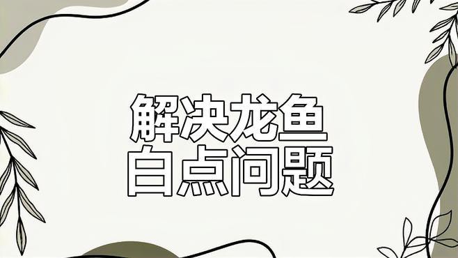 金龍魚(yú)眼睛白點(diǎn)