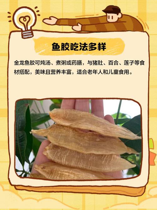 金龍魚的作用與功效