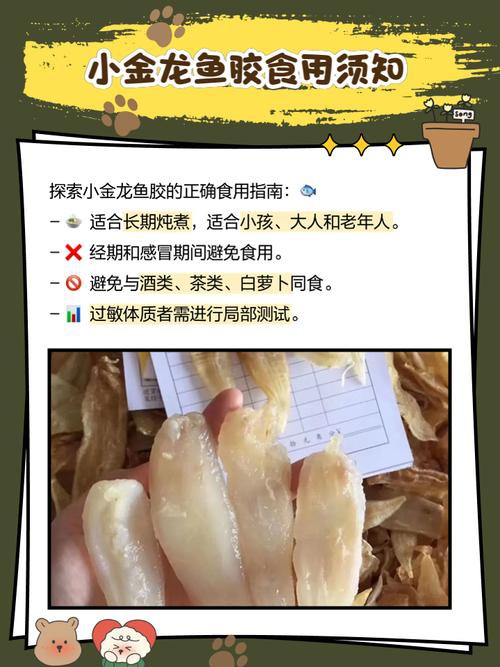 金龍魚的作用與功效