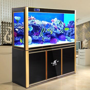 高端龍魚缸品牌排行，漢霸品牌排行第幾？：高端龍魚缸品牌排行