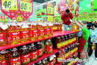 金龍魚價格為什么漲了呢，金龍魚價格上漲的主要原因及其影響