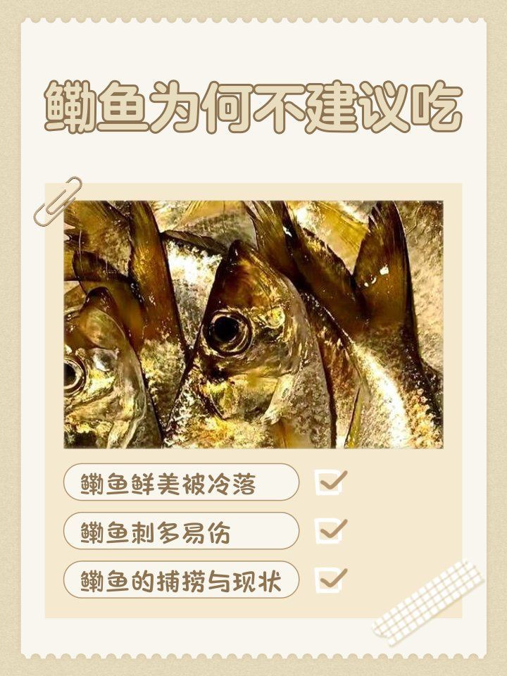 鰳魚為何被禁吃 龍魚百科 第1張 鰳魚為何被禁吃 鰳魚為何被禁吃 龍魚百科 第1張