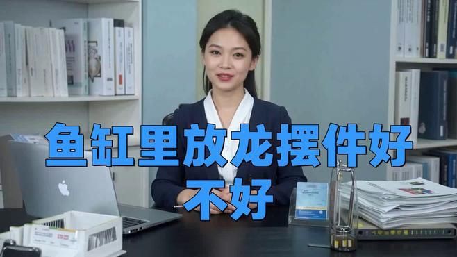 龍魚擺件的最佳擺放高度