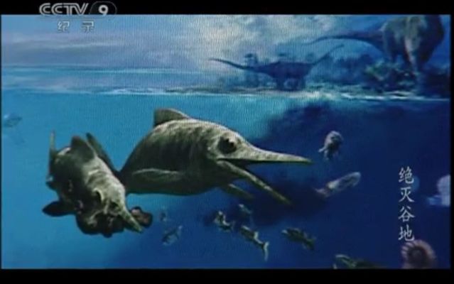 關(guān)于龍魚的紀錄片有哪些：關(guān)于龍魚的紀錄片