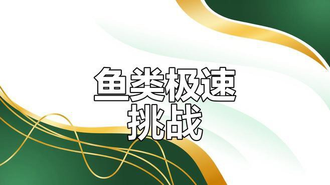 有沒有其他種類的魚游動(dòng)視頻？