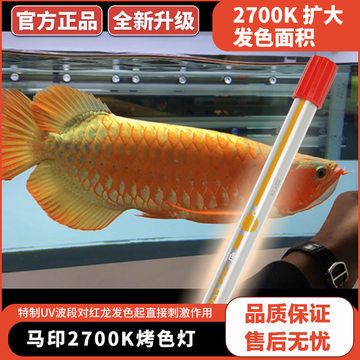 紅龍魚缸能放鹽嗎（關于紅龍魚缸放鹽的問題）