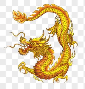 巨大金龍魚圖片