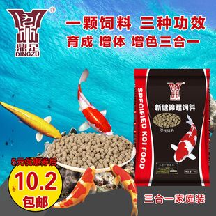 龍魚虎魚吃什么好一點：龍魚和虎魚吃什么好一點