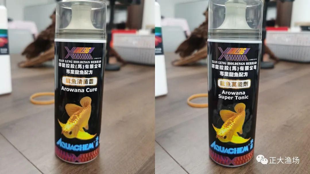 紅龍魚眼睛長白蒙眼怎么辦（紅龍魚眼睛有白膜怎么辦）