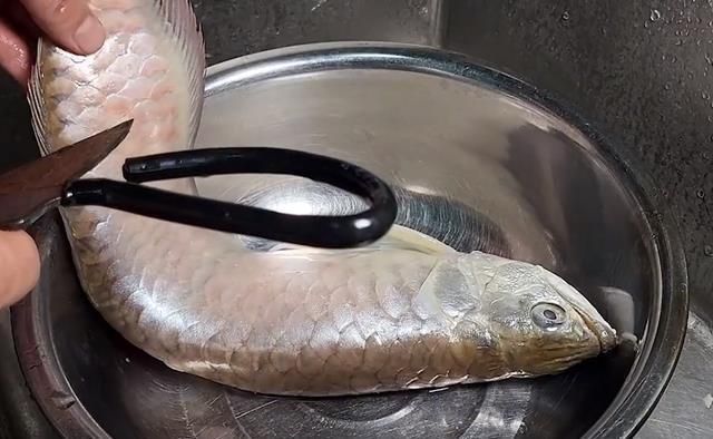 金龍魚死亡照片（金龍魚死亡可能由多種因素引起）