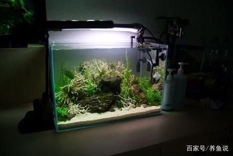 做一個魚缸需要多少（魚缸制作材料選擇指南）