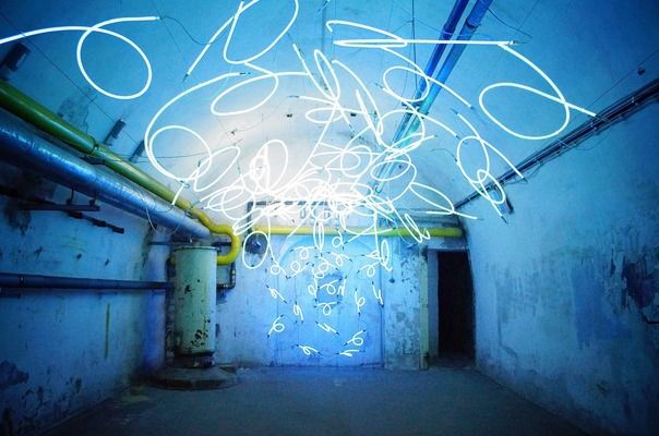 金龍魚要24小時(shí)開燈嗎（金龍魚不需要24小時(shí)開燈）