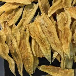 金龍魚取膠【金龍魚取膠是取自金龍魚的大黃魚（大黃魚）的魚鰾】