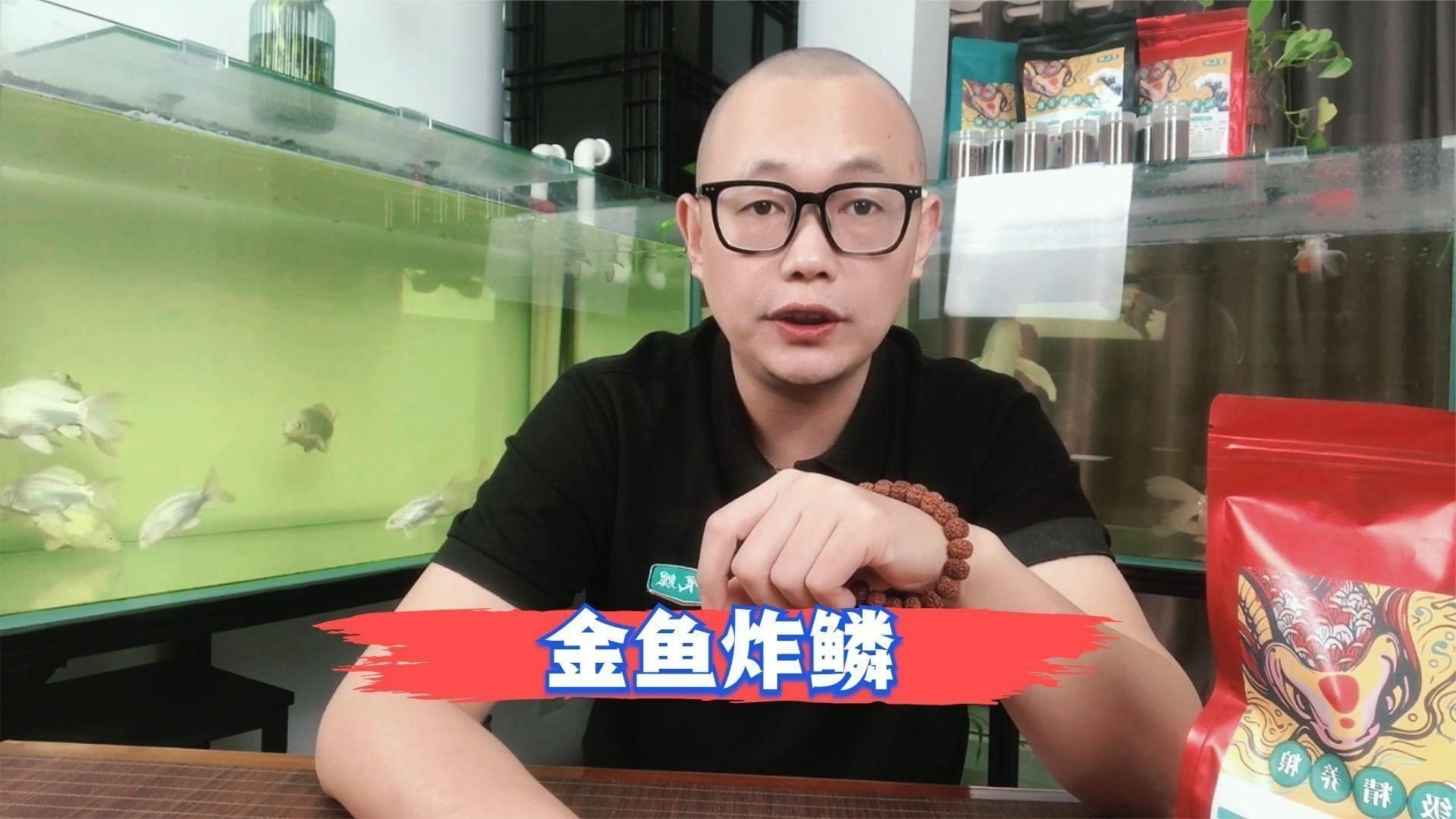 金魚炸鱗自愈后還會復發嗎？