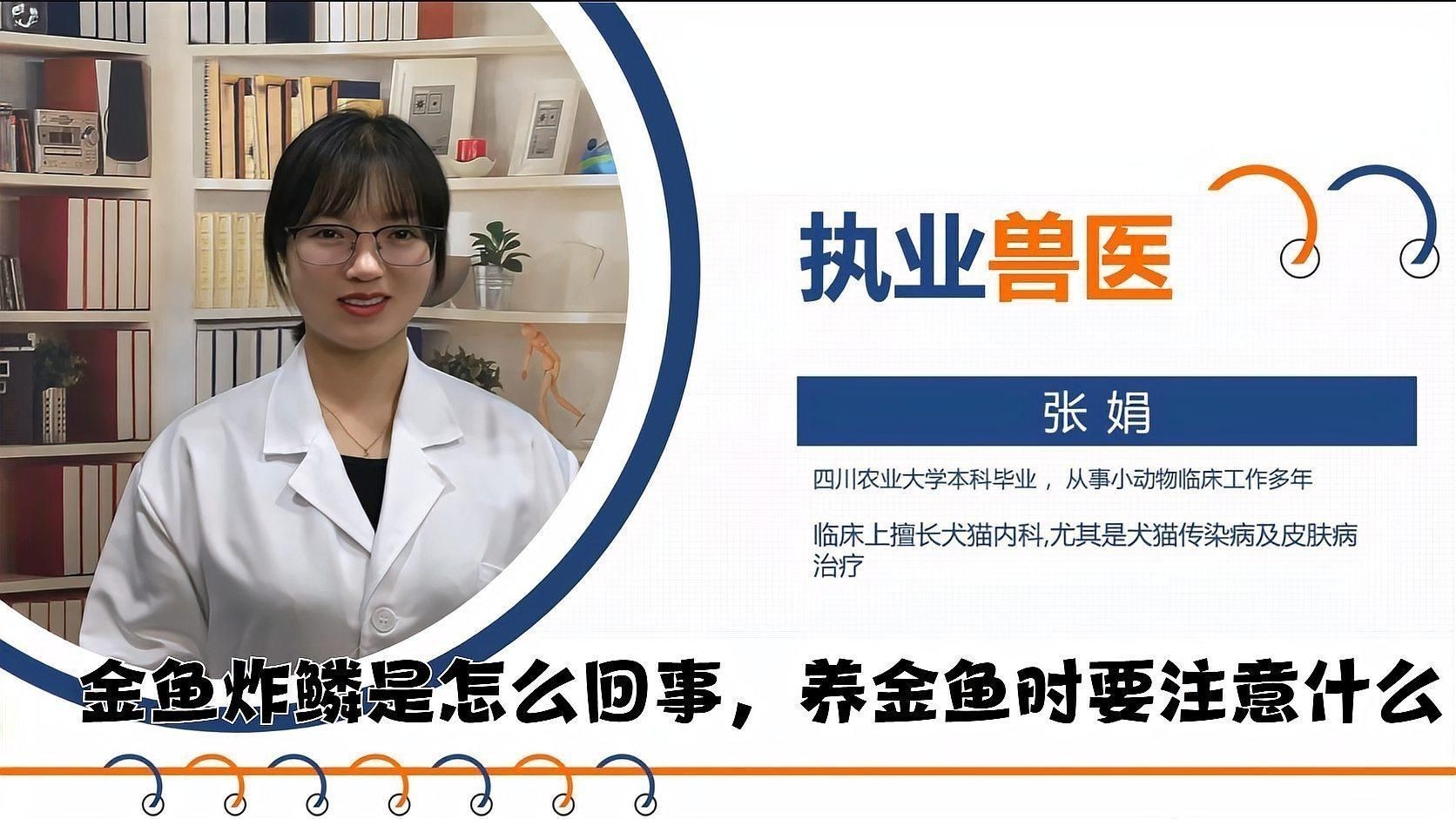 金魚炸鱗自愈后還會復發嗎？