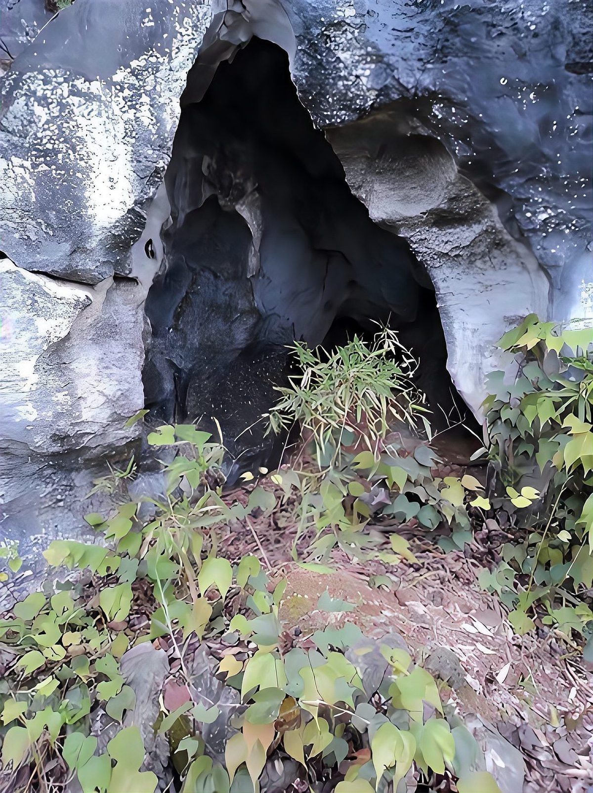 有哪些著名的生龍地形案例
