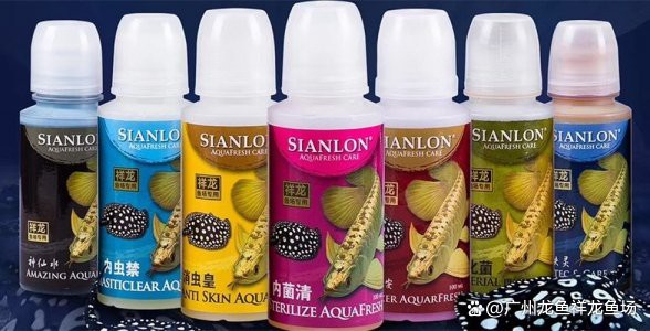 哪種藥物是龍魚檢疫的必備品？