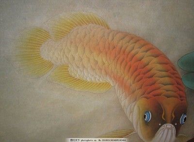 紅龍魚(yú)金龍魚(yú)壁畫（紅龍魚(yú)和金龍魚(yú)的壁畫設(shè)計(jì)）