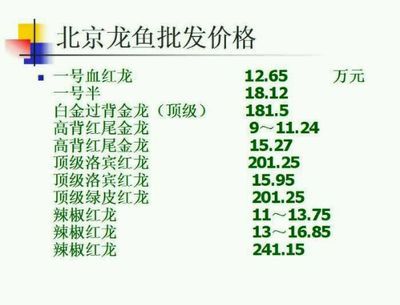 北京龍魚價格查詢表（北京龍魚價格查詢表詳細信息：北京龍魚價格有所上漲）