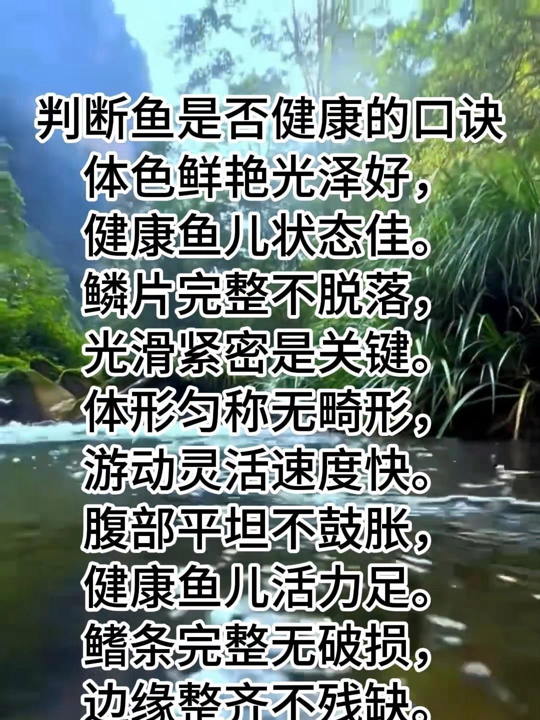 如何判斷紅背金龍魚是否健康？