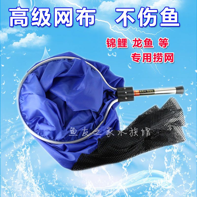 龍魚之家水族館：泉州龍魚之家水族館