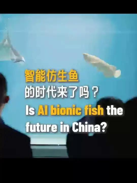 推薦幾個龍魚市場加盟品牌