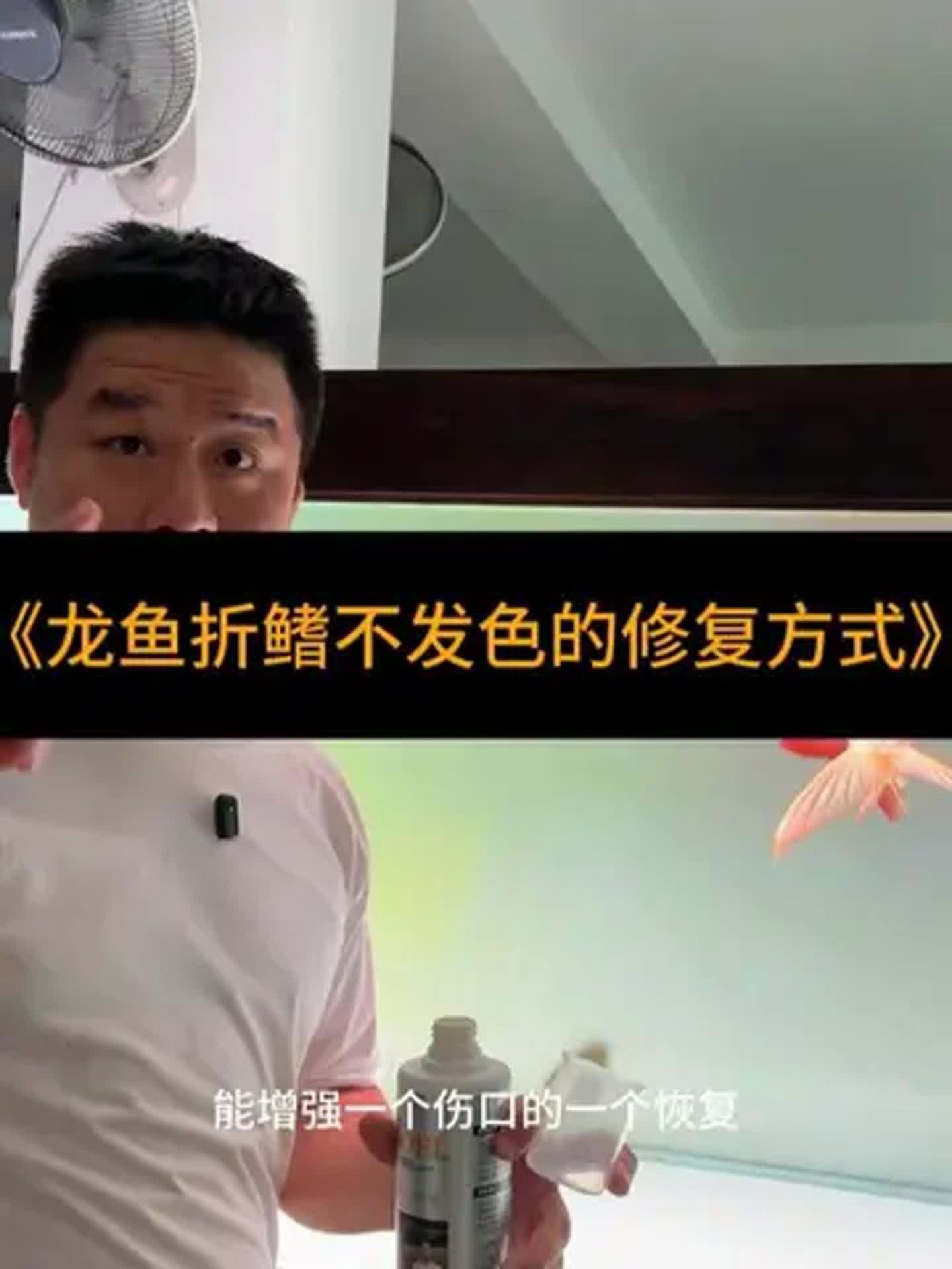 紅龍魚發色失敗后如何恢復？