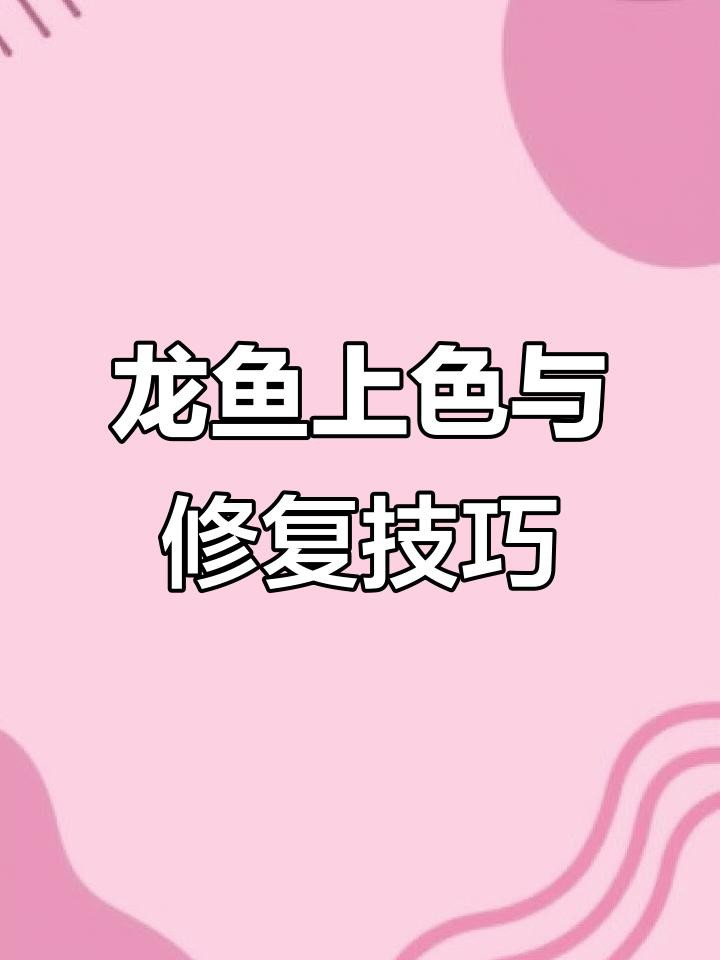 紅龍魚發色失敗后如何恢復？