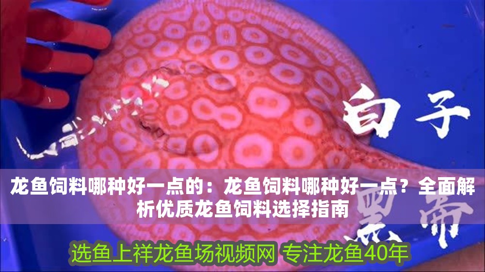 龍魚飼料哪種好一點的：龍魚飼料哪種好一點？全面解析優質龍魚飼料選擇指南