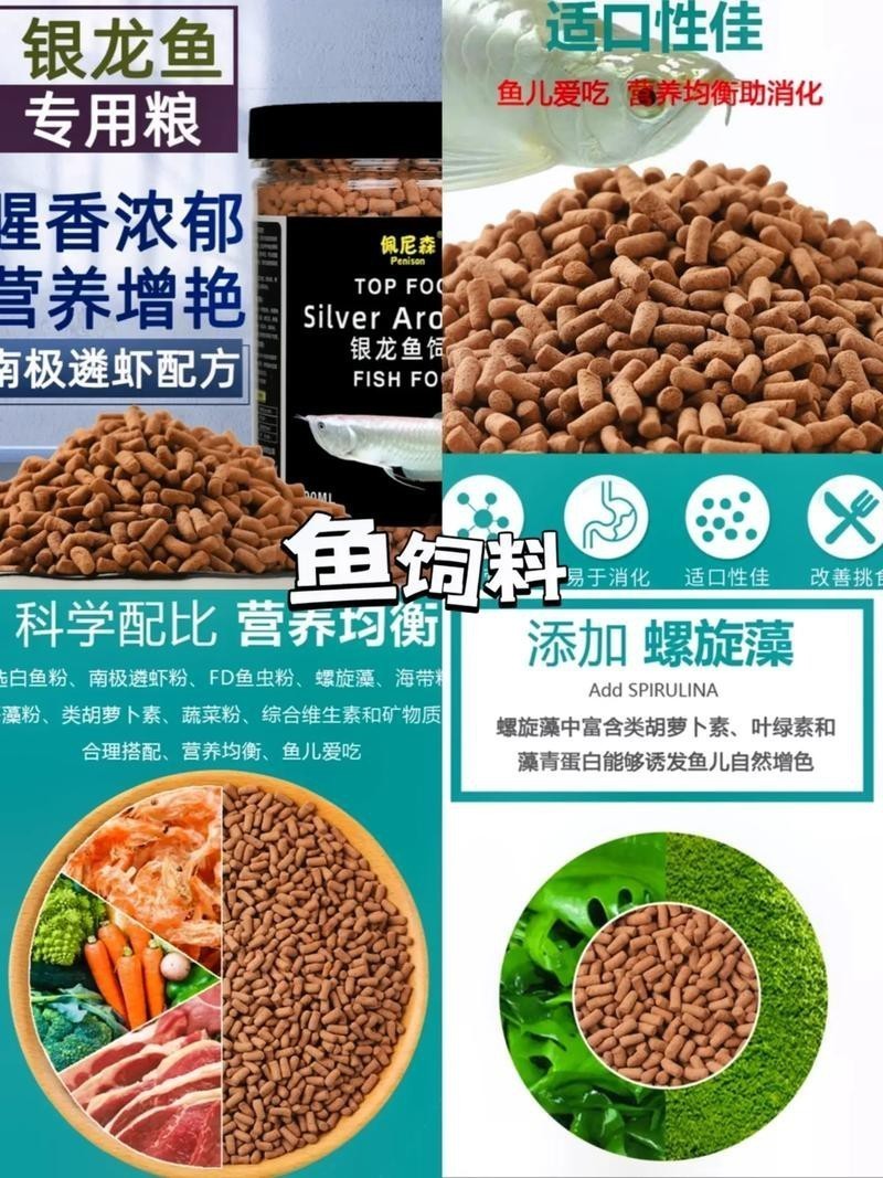 銀龍魚一般喂什么魚料