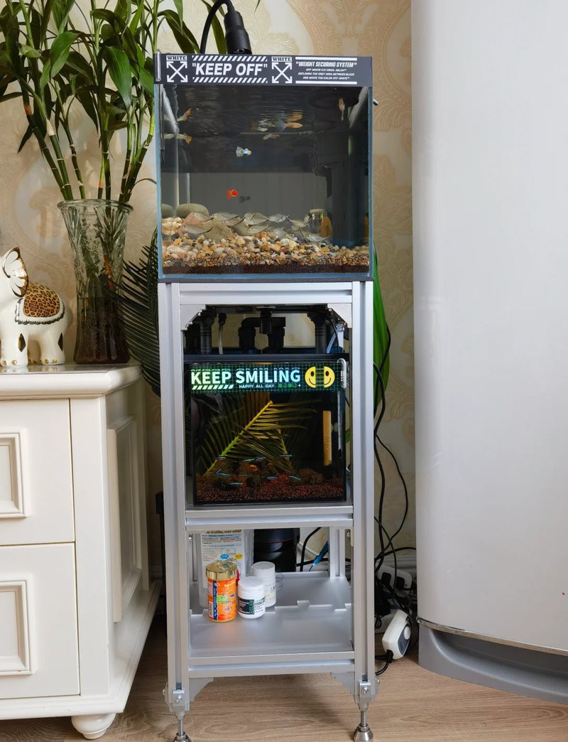 哪種類型的過濾器最適合龍魚混養(yǎng)？