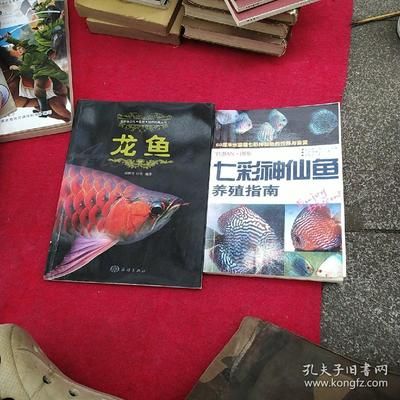 龍魚配七彩神仙好嗎怎么養：龍魚和七彩神仙魚在理論上可以混養的成功與否取決于多種因素