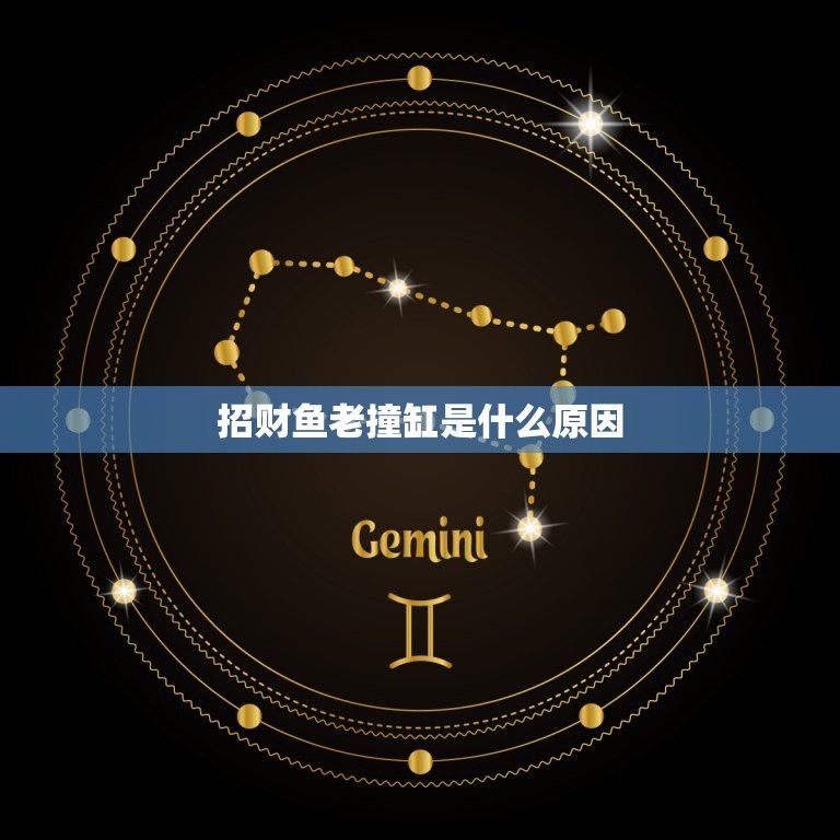 龍魚瘋狂撞缸呼吸急促怎么回事：如何判斷龍魚是否因饑餓撞缸
