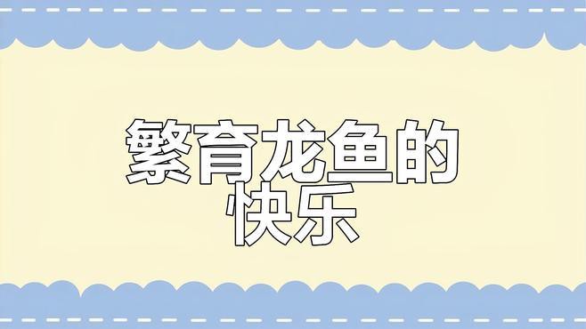 星點龍魚繁殖注意事項